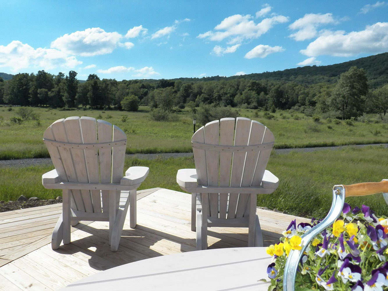 Mountain Horse Farm In New York, United States